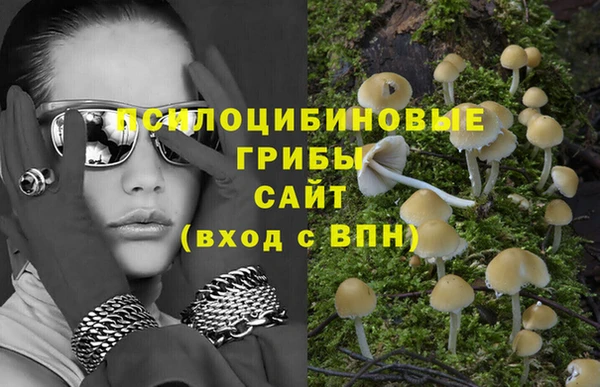 гидра Магадан
